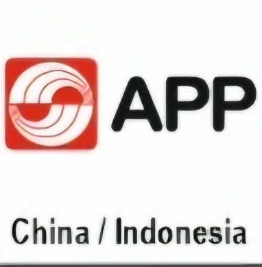 APP